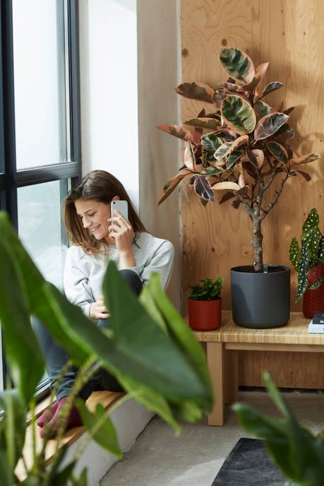 b.for soft rund 22cm anthrazit